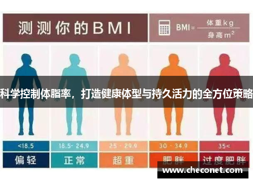 科学控制体脂率，打造健康体型与持久活力的全方位策略