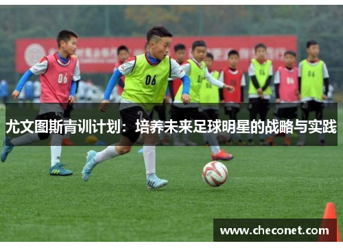 尤文图斯青训计划：培养未来足球明星的战略与实践